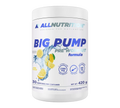 ALLNUTRITION BIG PUMP PRE WORKOUT – 420 g